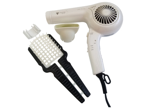 INTERNATIONAL TRAVEL STYLING KIT- PROFESSIONAL DUAL VOLTAGE IONIC HAIR DRYER JAPAN MADE WITH MULTI FUNCTIONAL HAIR STYLING BRUSH - Professional Hair Styling Products & Tools | GMJ Beauty Boutique