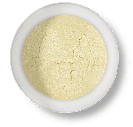 MINERAL EYE-SHADOW SHIMMER POWDER - Professional Hair Styling Products & Tools | GMJ Beauty Boutique